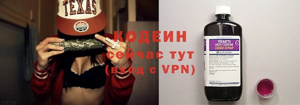 СК Няндома