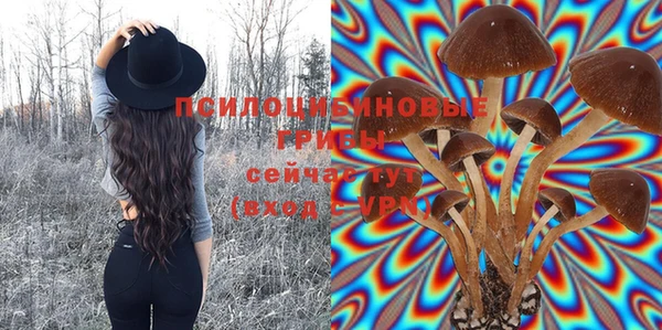 СК Няндома